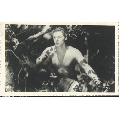 Johnny Weissmuller Acteur (Tarzan)